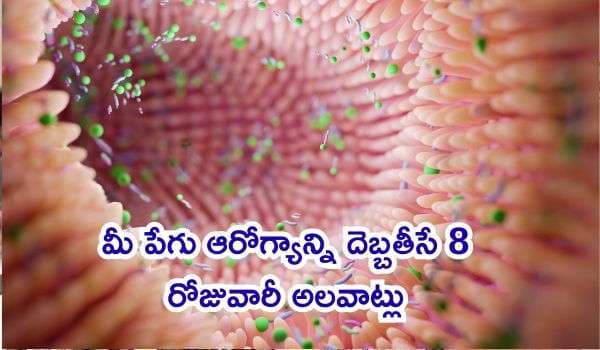 మీ పేగు ఆరోగ్యాన్ని దెబ్బతీసే 8 రోజువారీ అలవాట్లు: జీర్ణక్రియను కాపాడుకునేందుకు గ్యాస్ట్రోఎంటరాలజిస్ట్ కీలక సూచనలు!