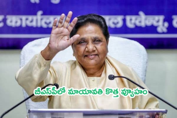 బీఎస్పీలో మాయావతి కొత్త వ్యూహం: వారసుడు ఆకాష్ ఆనంద్కు షాక్, కీలక పదవి నుంచి తొలగింపు!